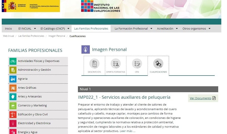 Cualificación profesional IMP800_3